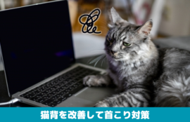 猫背を改善して首こり対策