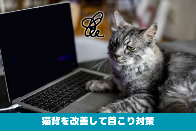 猫背を改善して首こり対策